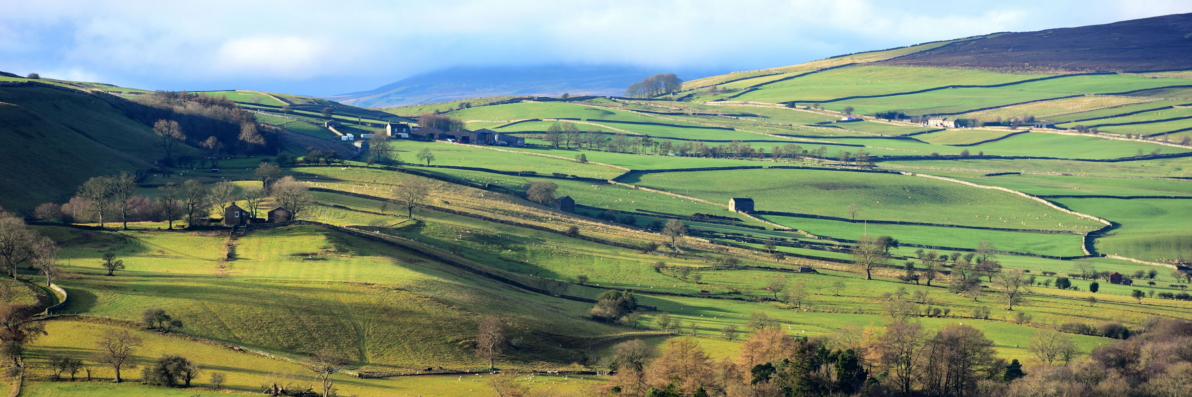 Yorkshire Dales