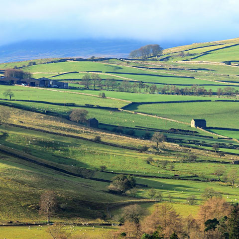 Yorkshire Dales